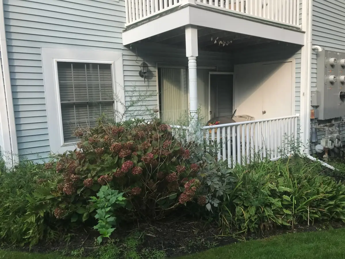 Selling a parent’s house after a move to care in Middle Island: ground-floor porch of a condo behind flowering shrubs