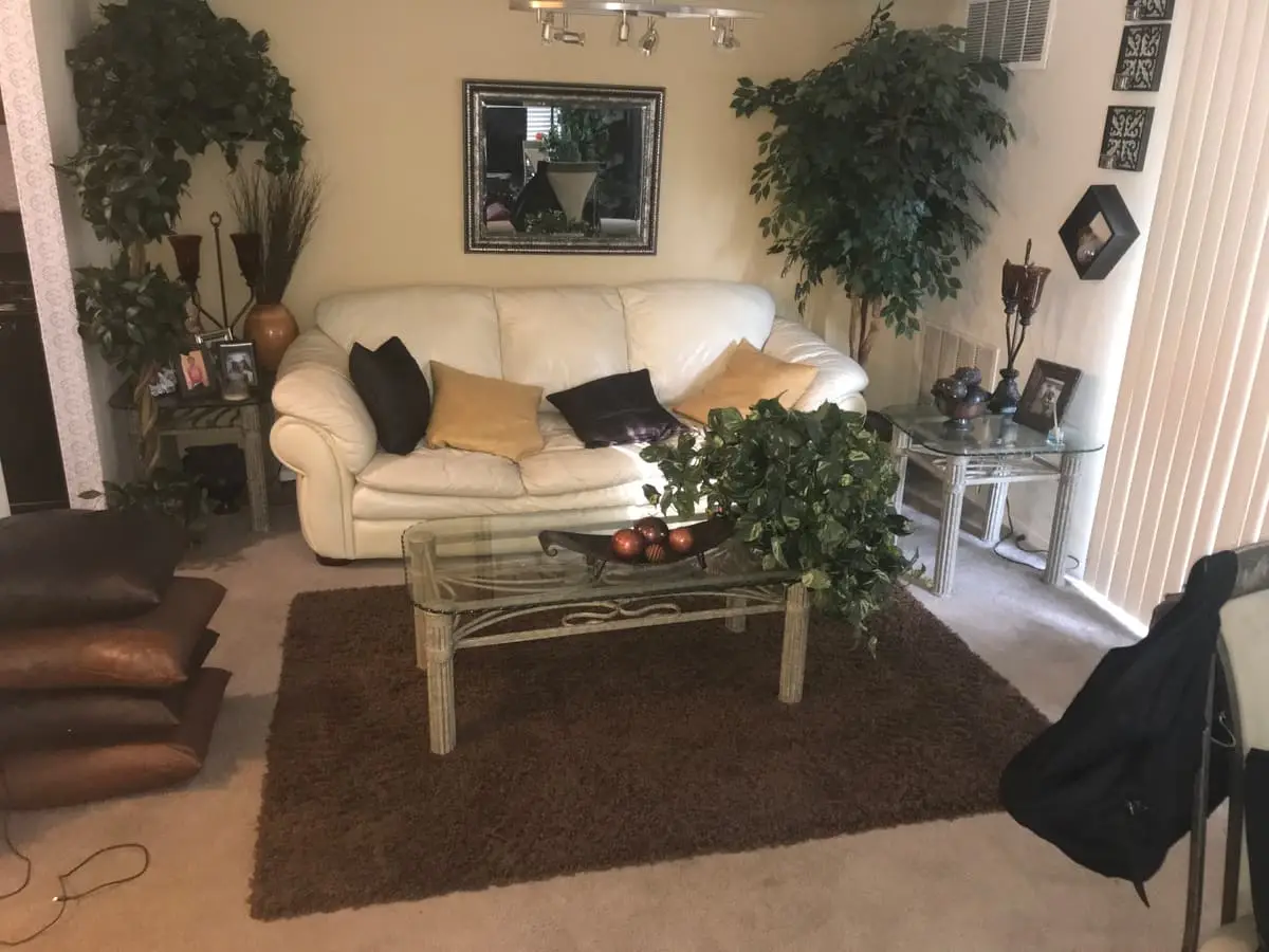 Selling a rental property in Middle Island: living room with a white leather sofa and plants